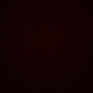 Meet your Posher, Lileigh